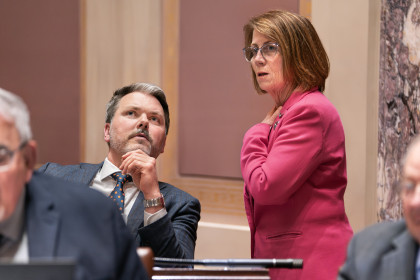 Minnesota Senate